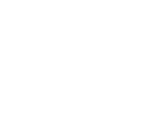 SENSES